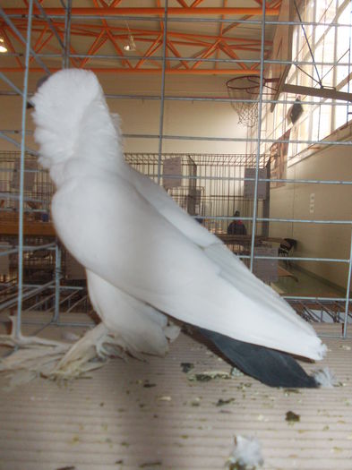 DSCN0275