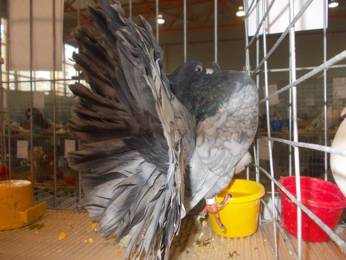 DSCN0279