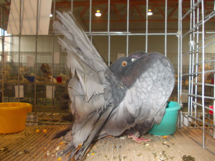 DSCN0280