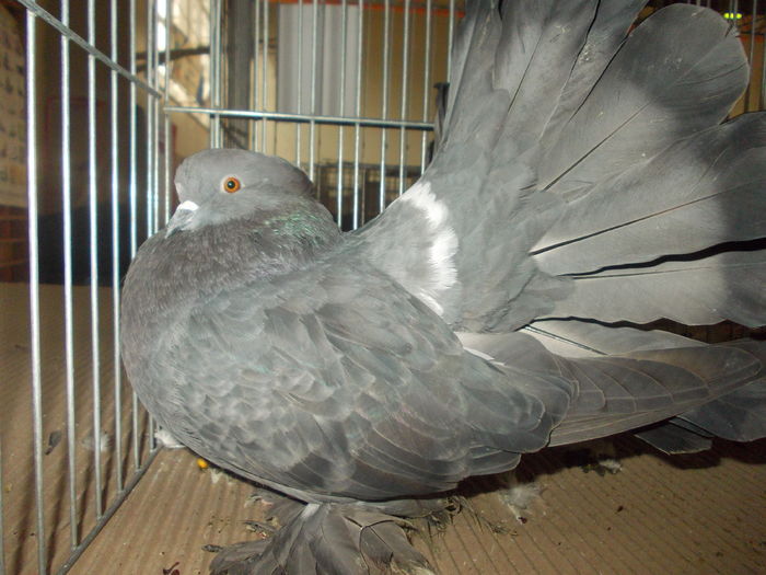 DSCN0295