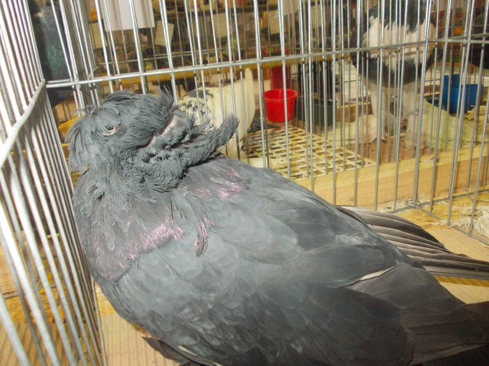 DSCN0320