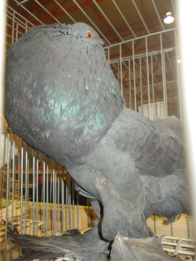 DSCN0335