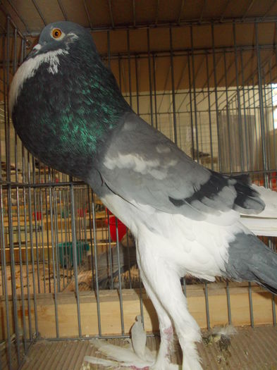 DSCN0344