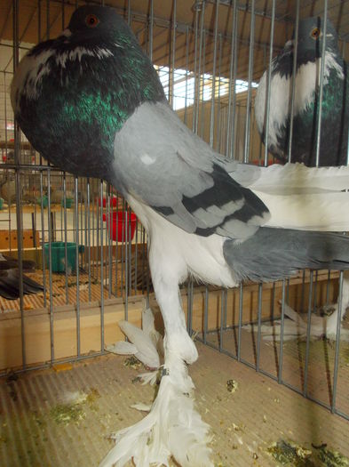 DSCN0345