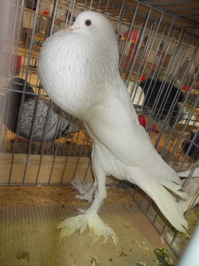 DSCN0350