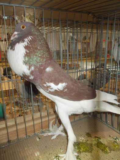 DSCN0353