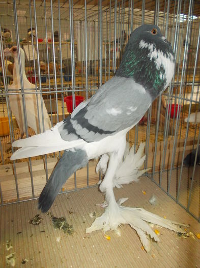 DSCN0355