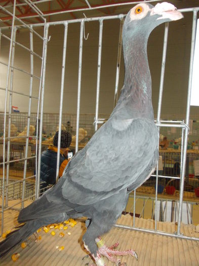 DSCN0360