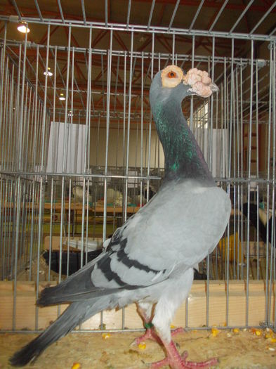 DSCN0363