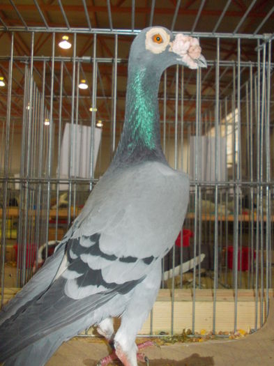 DSCN0364