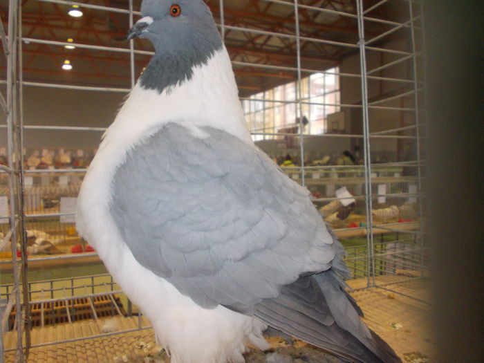 DSCN0376