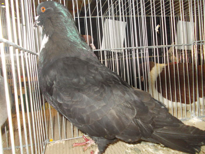 DSCN0391