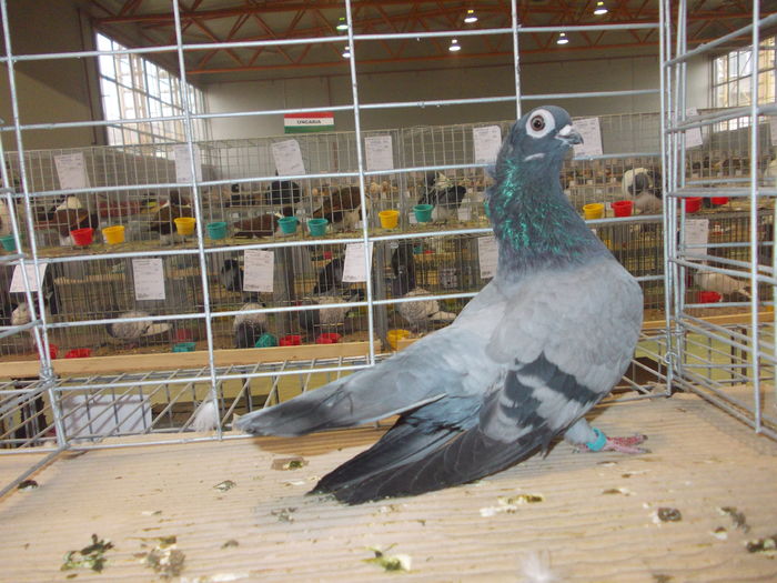 DSCN0394
