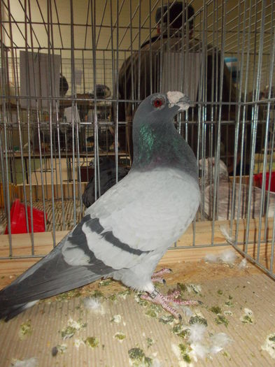 DSCN0404