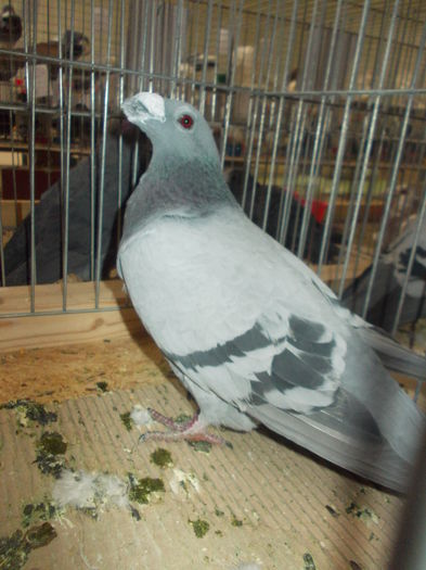 DSCN0405