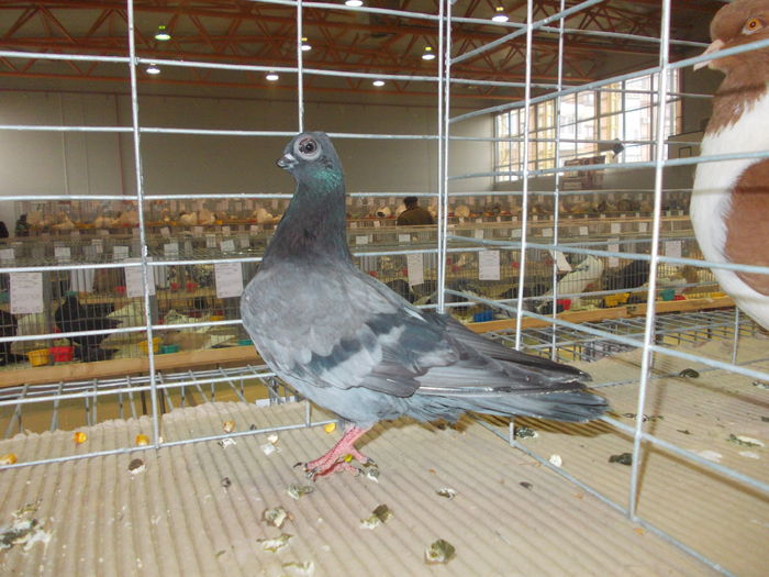 DSCN0412