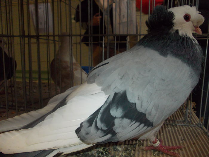 DSCN0441