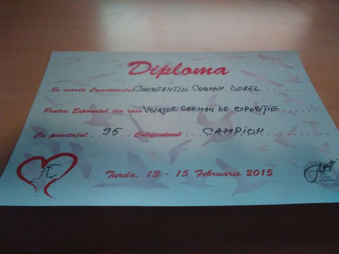 turda2015 - Cupe si diplome