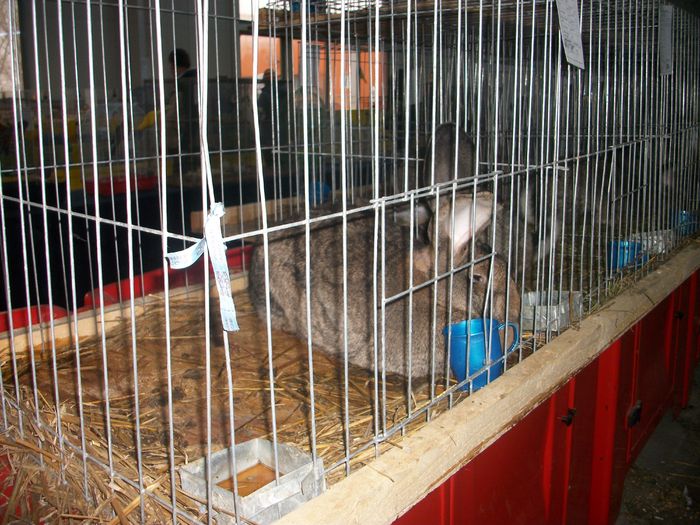 IMGP5993