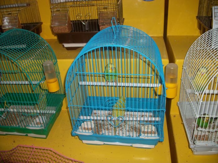 IMGP6001