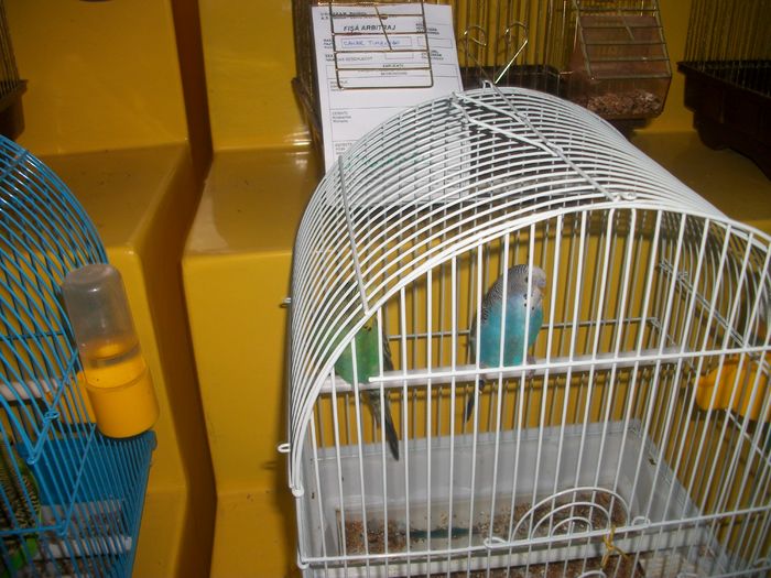 IMGP6002