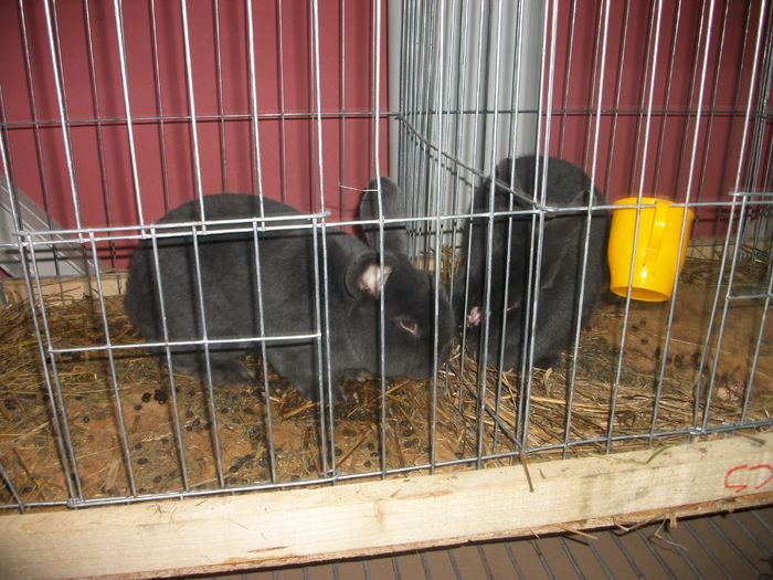 IMGP6029