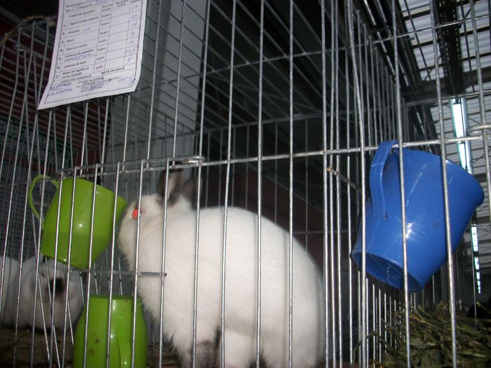 IMGP6042