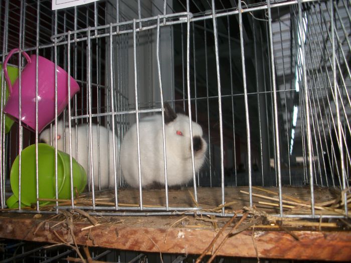 IMGP6043