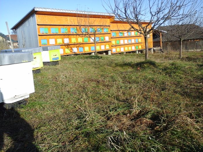 Stupina Dranca - Stupina