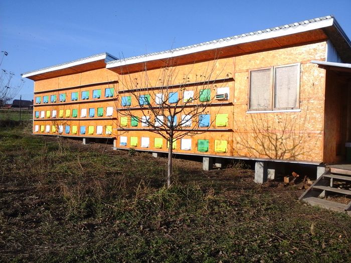 Stupina Dranca , - Stupina