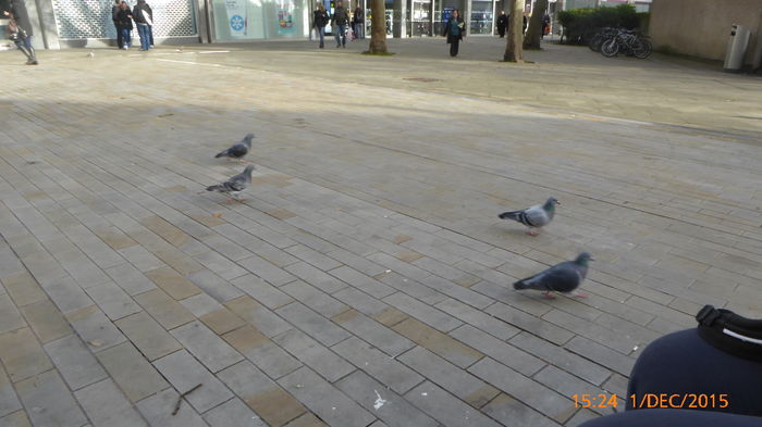 P1020609 - UK