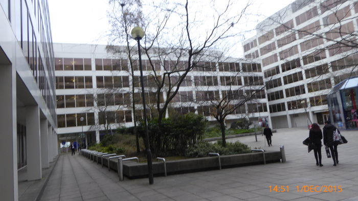 P1020655