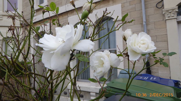 P1020696 - UK