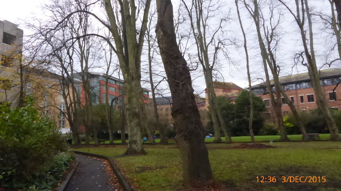 P1020761 - UK