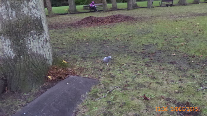 P1020765 - UK