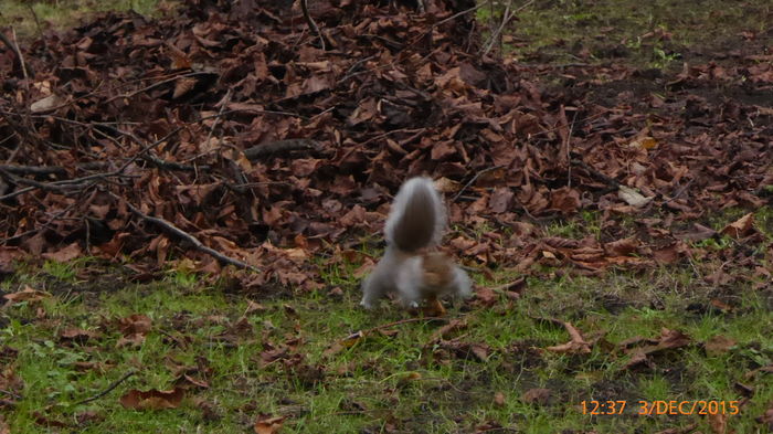 P1020767 - UK