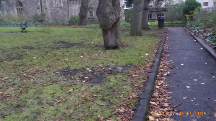P1020769 - UK