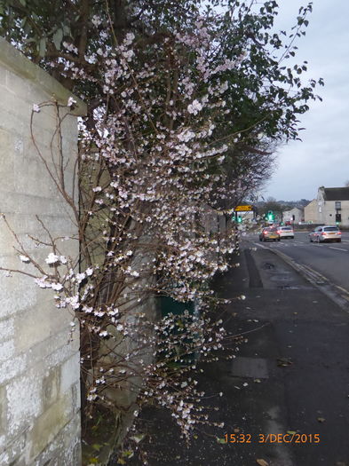 P1020845 - UK