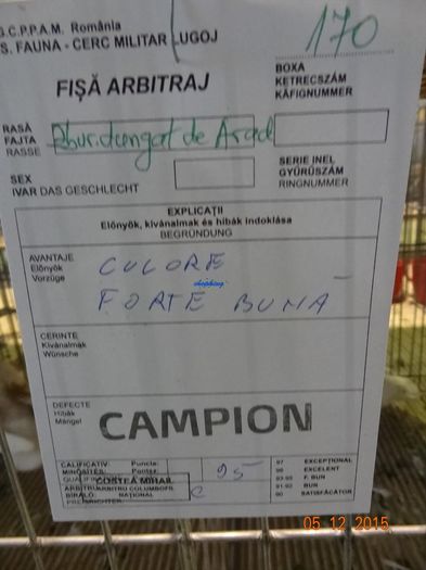 DSC08850 - u EXPOZITIA NATIONALA A ROMANIEI-LUGOJ 4-6 DEC 2015