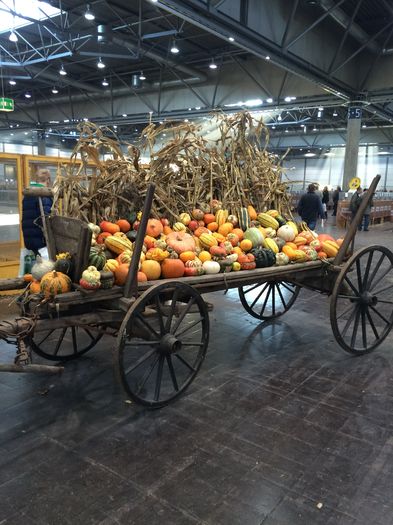 image - Expo Leipzig 4-6 Decembrie 2015