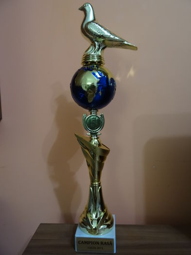 CAMPION  NATIONAL 2015 LUGOJ