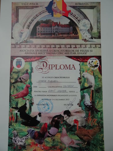 CAMPION NATIONAL 2015