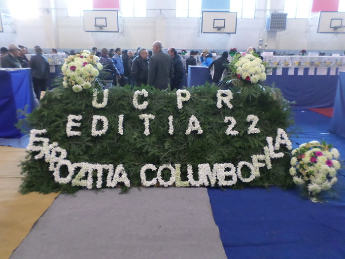 EXPO UCPR 2015