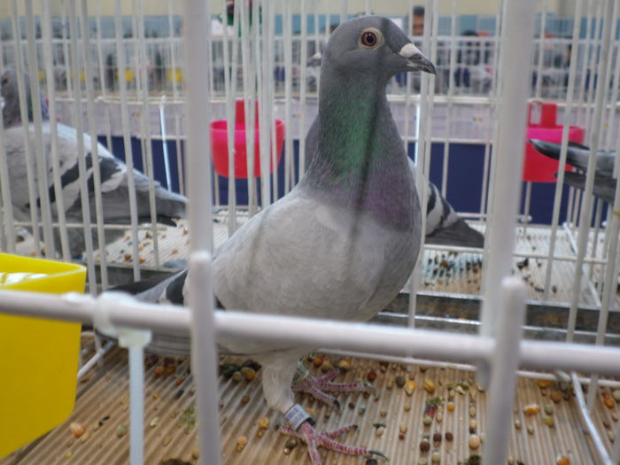 1290323-13-f  general M+Y