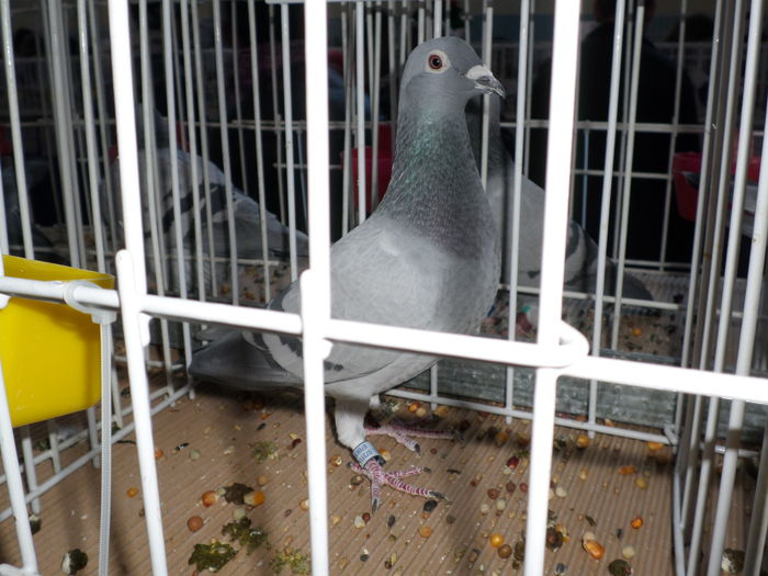 1290323-13-f  general M+Y