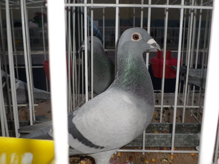 1290323-13-f  general M+Y