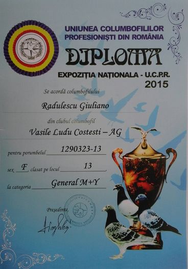 1290323-13-f  general M+Y