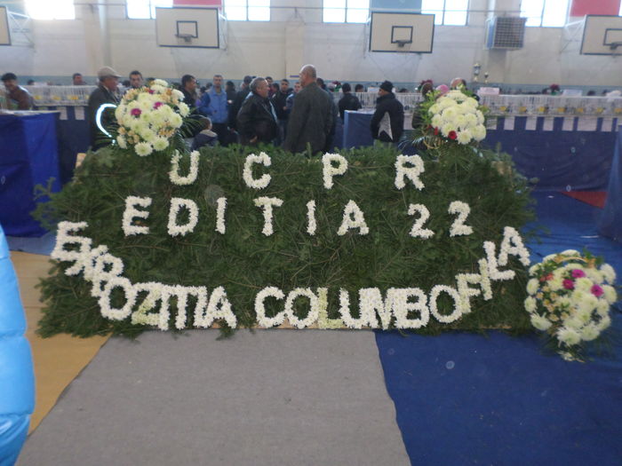 EXPO UCPR 2015 - EXPOZITIA  NATIONALA 2015