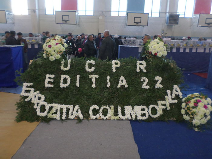 EXPO UCPR 2015 - EXPOZITIA  NATIONALA 2015