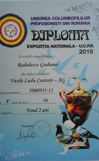 2060931-11-f fond palmares